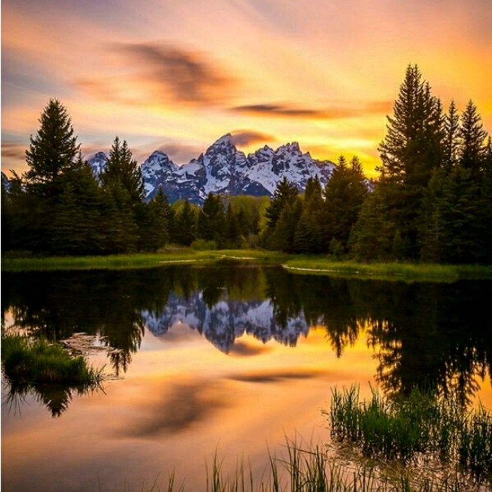 Meet your Posher, Ari